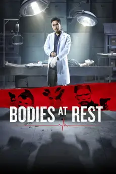 Bodies at Rest