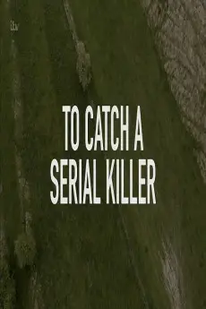 How to Catch a Serial Killer