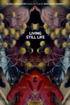 Living Still Life